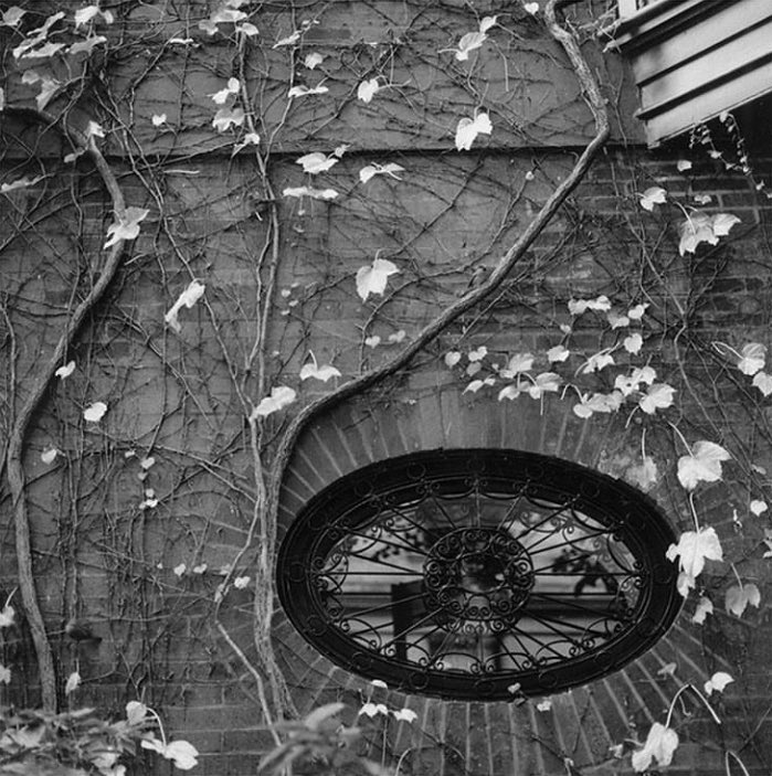 mersherlock's tweet photo. @coreywolfen I absolutely love shooting with film, especially 120. These were shot with a Hasselblad 500cm and a Mamiya RZ67 in New York, the UK, and Ontario. The world is so beautiful.💛 https://t.co/2rw1T6V9Gx