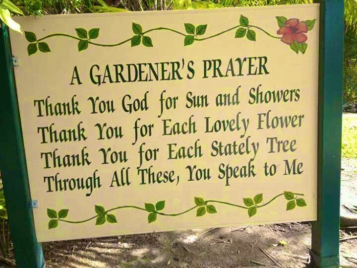 @SheShe0430 @GarlandGloria @DrElnora @lakesha_russell @VMinuz @lynore2010 @Felicia3151941 @bowley115 @7homewardbound @lisabuffaloe @cjtipado In the garden i pray 🙏💕🍃🌸🍃🌸🍃🌸🍃🌸🍃