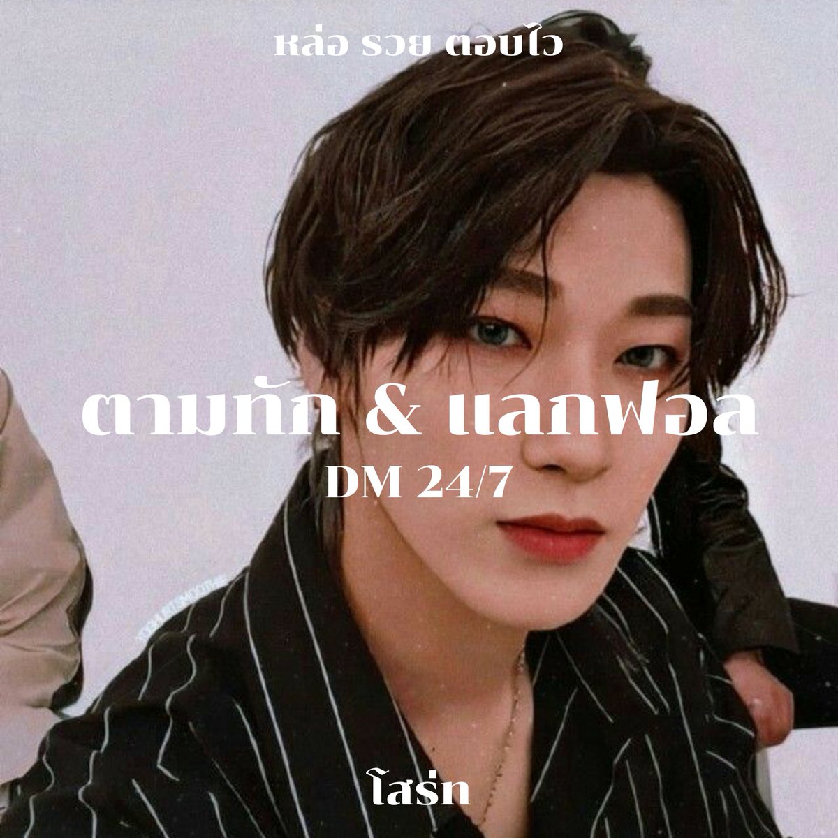 ทอรอ tweet media