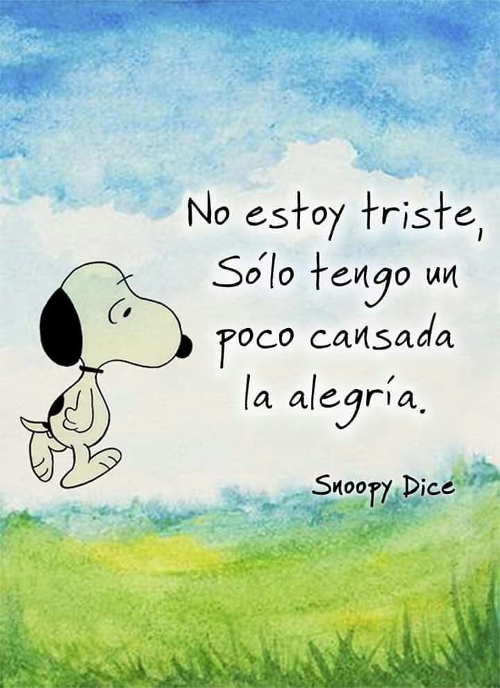 ট ইট র Siente Tu Alma No Estoy Triste Solo Tengo Un Poco Cansada La Alegria Snoopy Sientetualma Sabiduriaparaelalma Felizdomingo Snoopy Frase Frases Sabiduria Frasesdeldia Frasesdelalma Felizdia T Co Puijkzrhsm