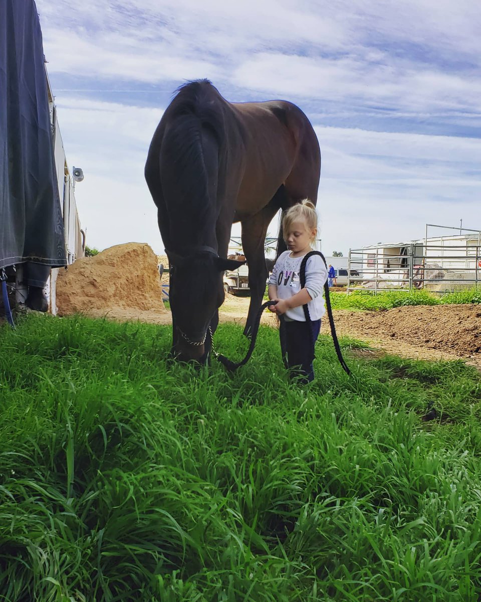 stephanie_herb's tweet photo. In case anyone needs a smile this morning... Natalie grazing her boy, Temple Keys. Both don't have a care in the world 💕 I love them🥰 #PrincessNatalie #TempleKeys #horsesareagirlsbestfriend https://t.co/WEBWZWJ1L7