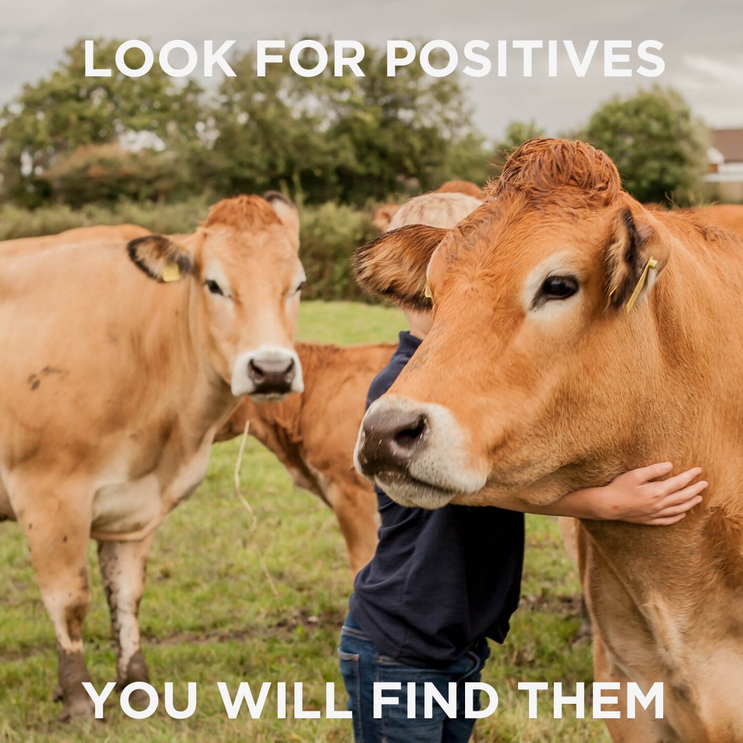 BriarwoodProduc's tweet photo. It's been an incredibly HARD WEEK for most of us. Just looking around though we can find things to make us feel better ...

#toughtimes #hanginthere #thinkpositive #thinkpostively #farming #farminguk #agripics #farmlife #farm365 #farm247 https://t.co/5m8B7xOYrQ