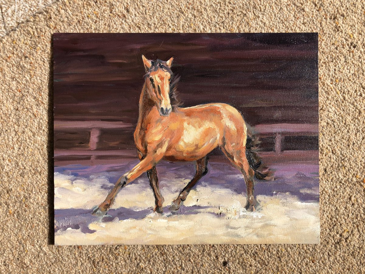 FionaThomsonArt's tweet photo. Sunny day! In the studio with the door open and finished an abandoned oil of a horse from last year then sketched ‘Peedie’s Flea’ with a gorgeous new brush pen! Back at work at last!! 😁
#workfromhome #pointydog #dogart #dogartist #italiangreyhound #horseart #iggie #sketch #dog https://t.co/uCn4ERxH46