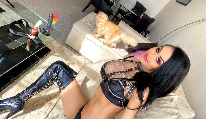 Happy Sunday! Custom movie filming BTS photo with my furry assistant 😺  Order your own personalised custom<a href="/tag/snowball"class="tags"><span>#snowball</span></a><a href="/tag/cumshot"class="tags"><span>#cumshot</span></a>