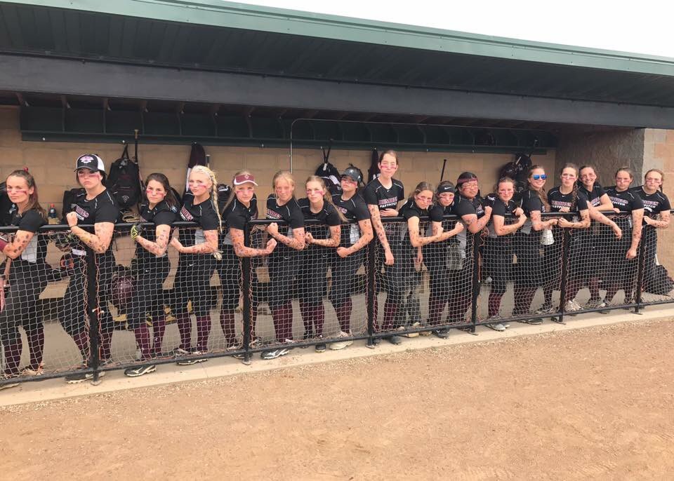 Demonfastpitch tweet media