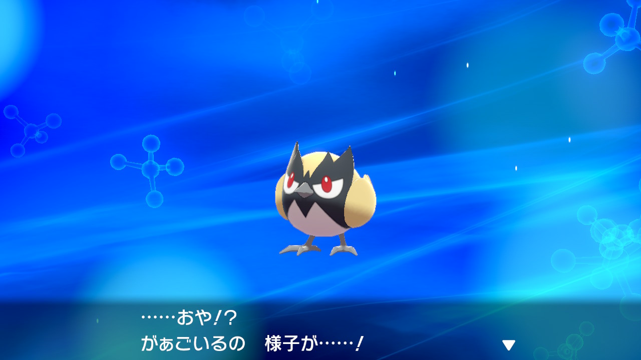 にんじゃ そしてココガラもアーマーガアに進化させた カッコいい ポケモン剣盾 Nintendoswitch T Co N1biidkpbh Twitter