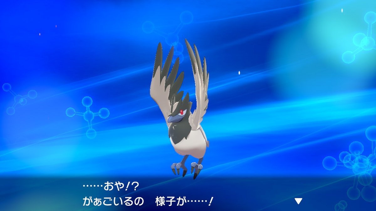 にんじゃ そしてココガラもアーマーガアに進化させた カッコいい ポケモン剣盾 Nintendoswitch T Co N1biidkpbh Twitter