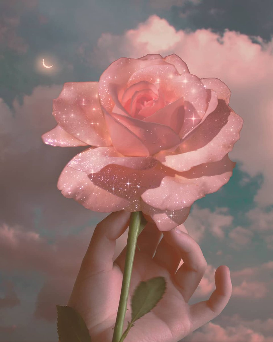 This one is for our queens who haven't been able to spend time with their mums this Mother's Day 🌸

Instagram 📸 indg0