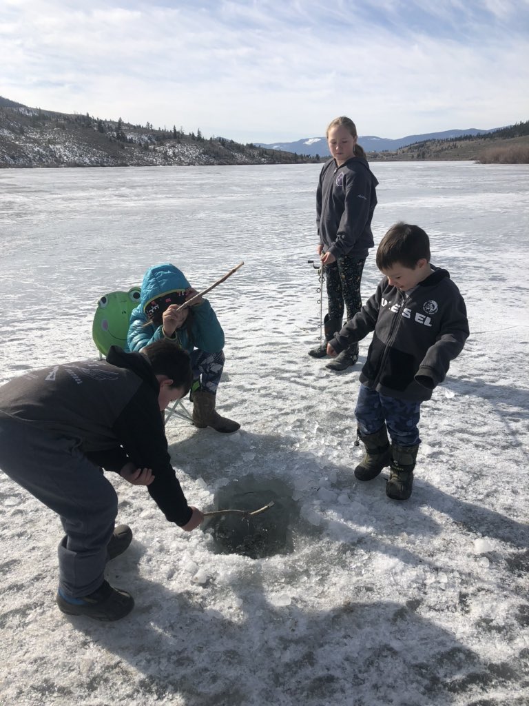 Life in pictures-no words. Day 1. Nominated by@BrettWildeman. I nominate <a href="/bhallerbc/">Brooke Haller</a> and <a href="/gfcavaliere/">Gian Cavaliere</a>