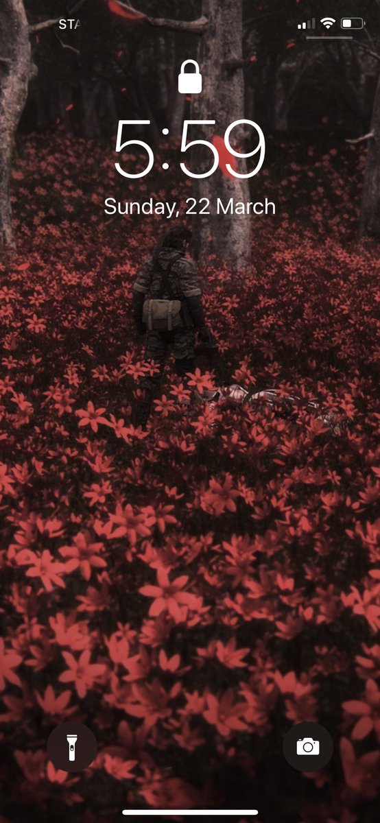 ᛊᛏᚨᚱᚲ tweet media