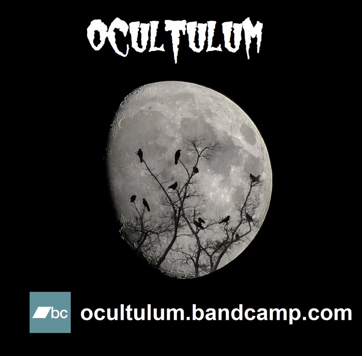 Entertain yourself with Horror/gothic music during these peculiar times.
Ocultulum full discography is now #FreeDownload <a href="/Bandcamp/">bandcamp</a> ocultulum.bandcamp.com
Stay Home, stay safe #indiehorror #horrormusic #darkambient #freemusic <a href="/NonprofitHorror/">Nonprofit Horror</a> <a href="/PromoteHorror/">PromoteHorror 🎃</a> <a href="/PromotionHorror/">Horror Promotion</a>