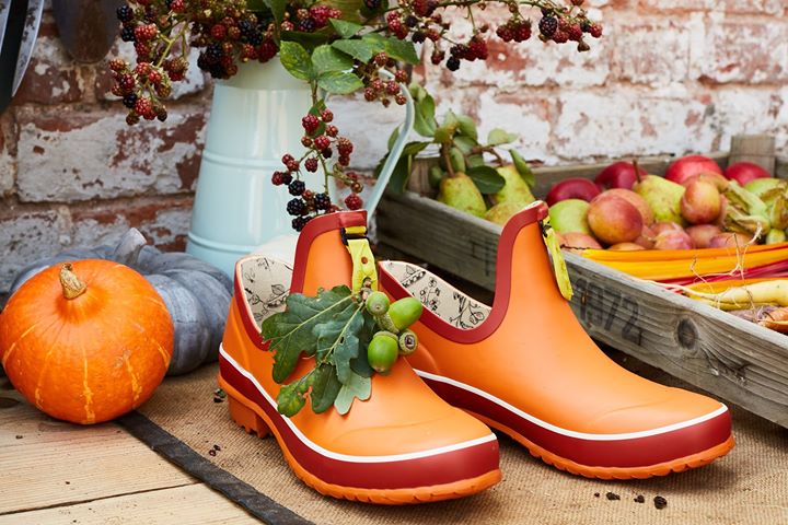 Started by sisters Vanessa and Justine in early 2019, Poddy &amp; Black is the modern woman’s answer to stylish garden footwear.  Find out why you should order with Poddy &amp; Black today! ow.ly/VRqH30qkdnP