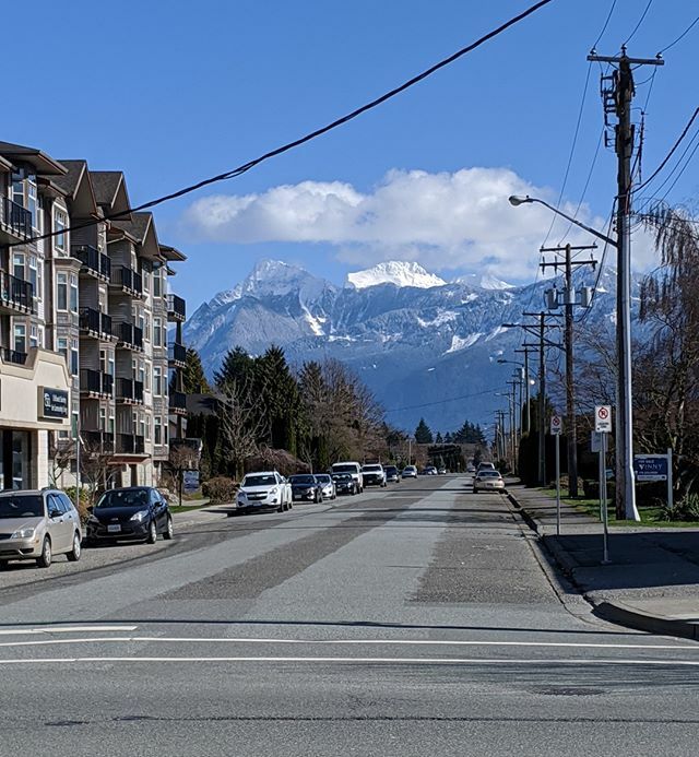 ChilliwackBIA's tweet photo. #mountains #mtcheam #chilliwackbc #goforahike #socialdsitancing https://t.co/1XNOdp9W6V https://t.co/4QK017ieQJ