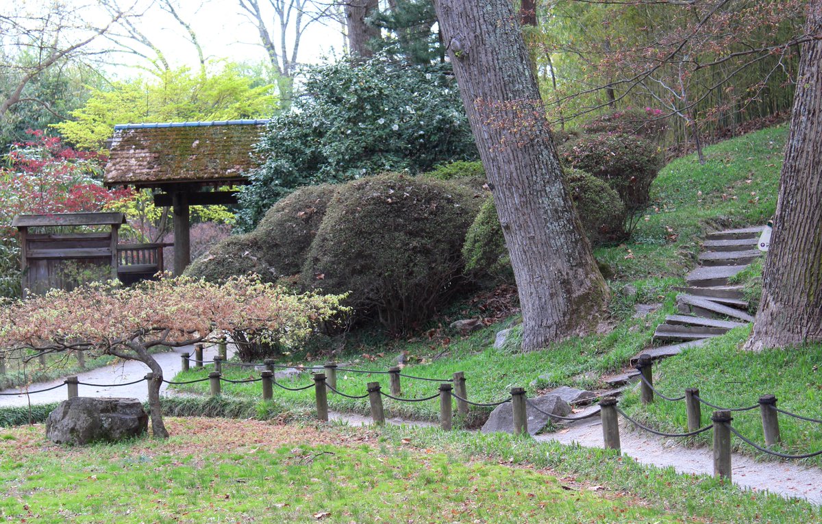 Maymont's tweet photo. Two roads diverged in a wood, and Iβ
I took the one less traveled by,
And that has made all the difference.
- by Robert Frost
#poetry #nature #pathslesstraveled #japanesegarden #maymont #RVA https://t.co/w8E3VLFq8Q