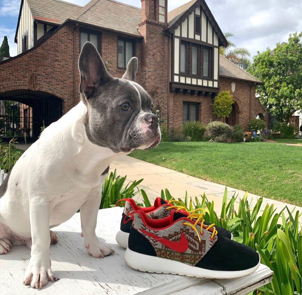 stockx's tweet image. Up &amp;amp; ready to #FlexFromHome and #FrontLineFlex 😎 

Keep those pics rolling in. Every post you tag us in with the hashtag = 10 meals for @FeedingAmerica! 

Let’s see what ya got 💪🔥