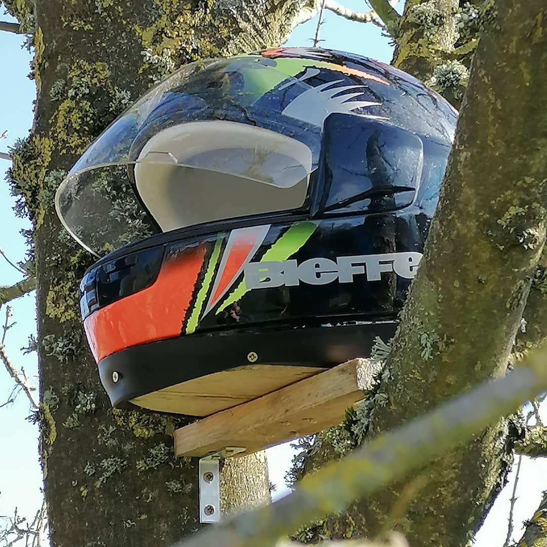Up cycled helmet into a bird box see how this goes