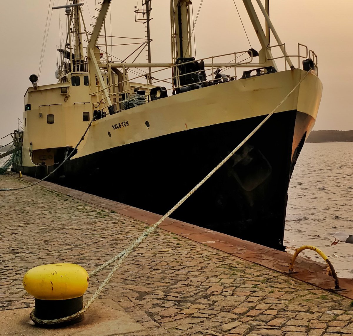 In meinem nächsten Leben werde ich Kapitän. 🚢 (Morgen 6. Tag Homeoffice)