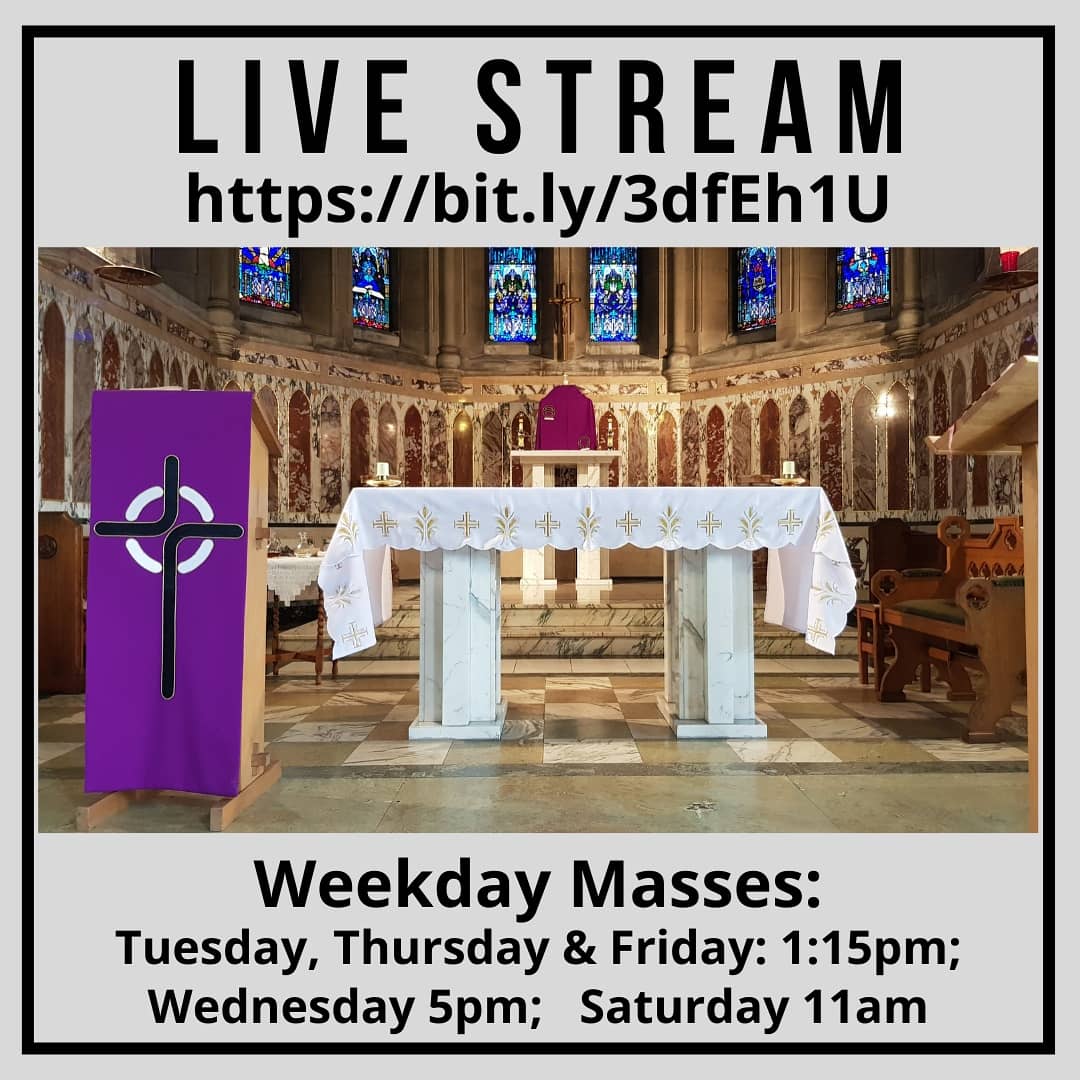 Fr Marc Homsey tweet media