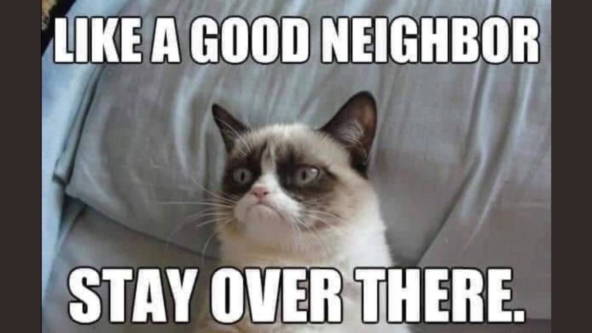 mwilliams923's tweet photo. What would grumpy cat say in these times? #RIPgrumpycat https://t.co/9FVAaTi0EH