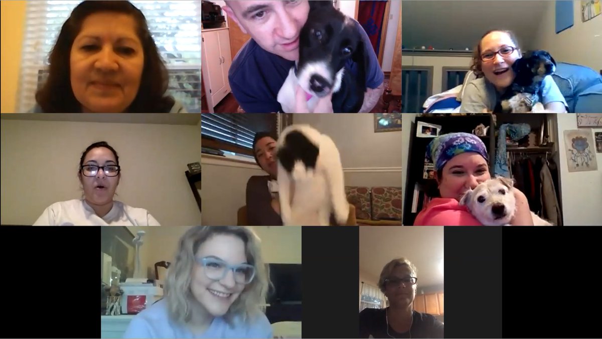 DrEvanLieberman's tweet photo. Last Friday, a group of teachers from SST got together to experiment with Zoom. Since some of us will be using it next week, we all shared what we know about it while learning new things, too. This is us introducing our cats and dogs to each other. #zoom #BabySimba @SSTmaincampus https://t.co/0a7Zbf75KY