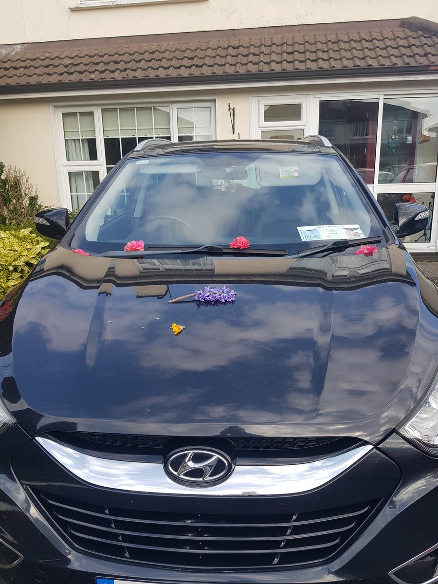 leighlinbridge's tweet photo. #RTELoveOurMammies grandkids showered nannies car with flowers, loving nanny mary carpenter https://t.co/ZY4wIYrvQT