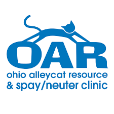 Furrealitycon's tweet photo. We would like to take a moment to spread some good news. Our charity for 2020, Ohio AlleyCat Resource, was able to save all the cats in the local shelter system that may not have had a good outcome. giving them more of a chance to find their forever home.

https://t.co/1XbfiaidtA https://t.co/uj5Y7MIRmy