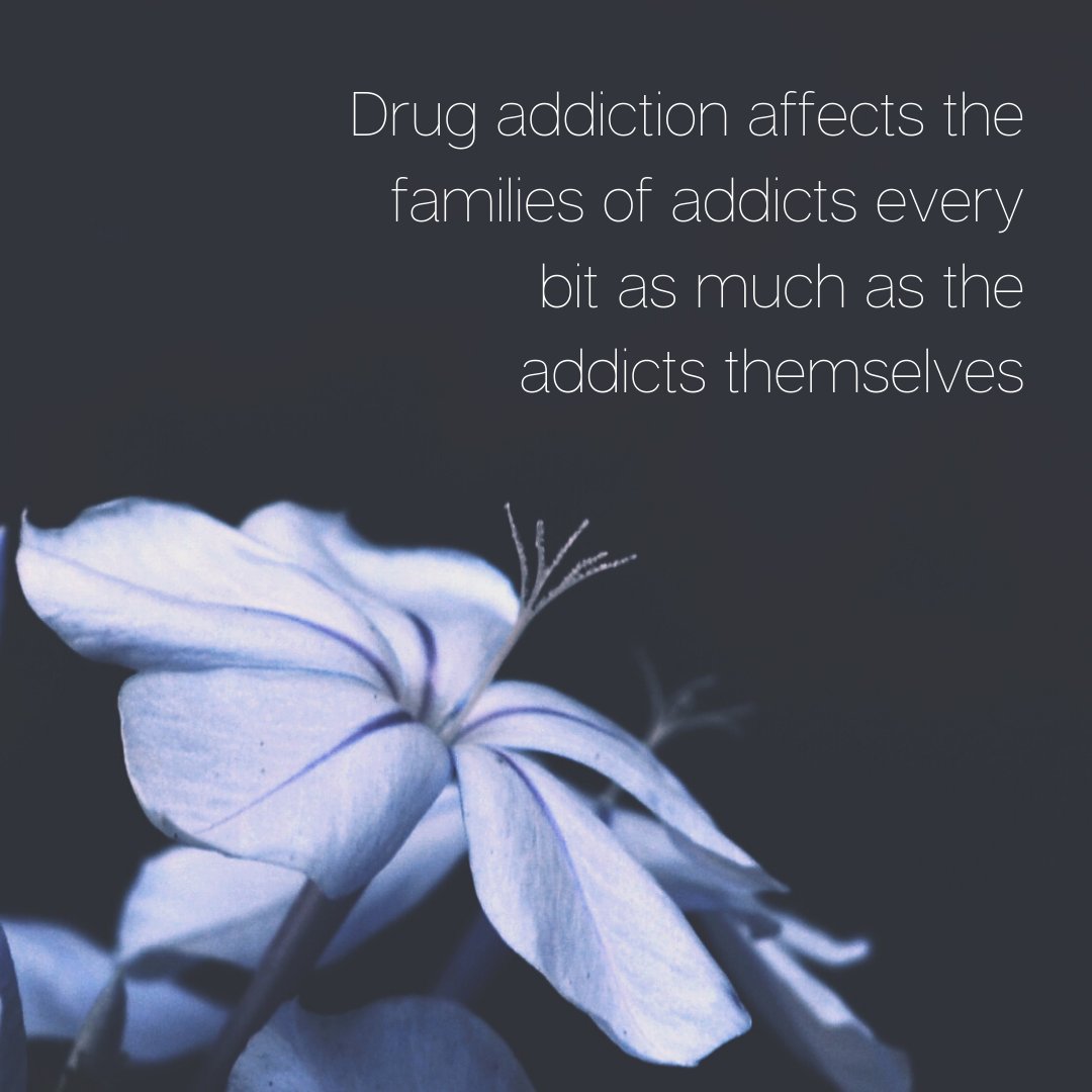 Families typically suffer from embarrassment and a sense of guilt with the  knowledge that their loved one is an addict. Blame may be cast internally  or at other family members for the, image size:1080x1080