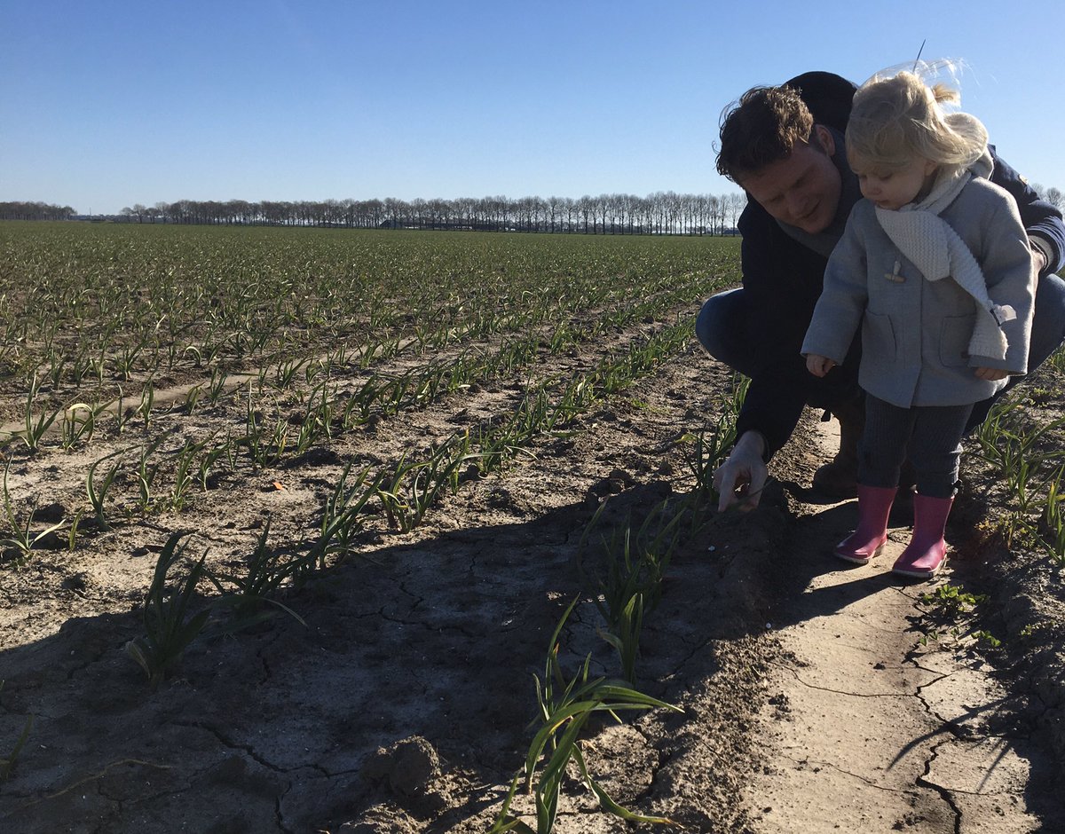 Nothing better than visiting the #garlic field on Sunday.