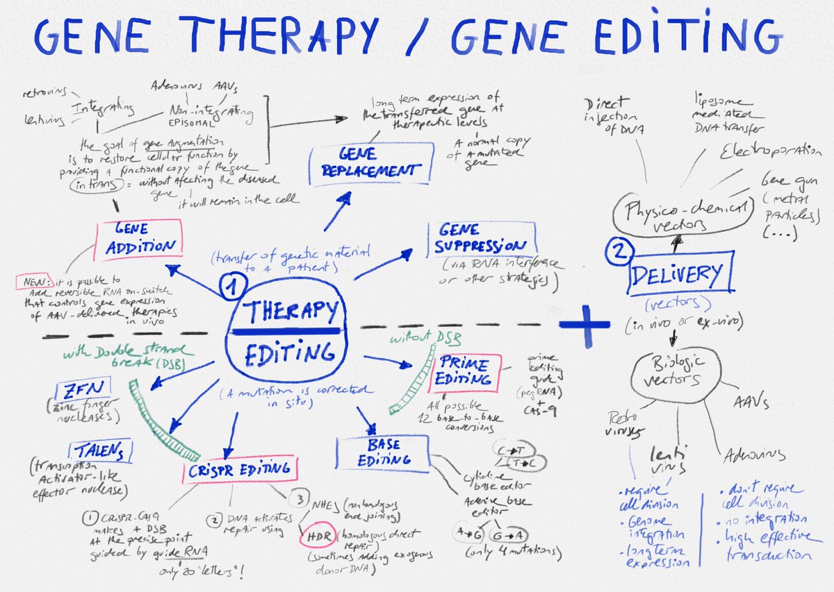 pareras's tweet photo. GENE THERAPY/ A map to understand the different types of g͟e͟n͟e͟ ͟t͟h͟e͟r͟a͟p͟y͟ —transfer of genetic material to a patient— & g͟e͟n͟e͟ ͟e͟d͟i͟t͟i͟n͟g͟ —correction of a mutation in situ—, and how we deliver the genetic payload or correction into the right cells #quick_notes_LP https://t.co/k4d0NnswmC