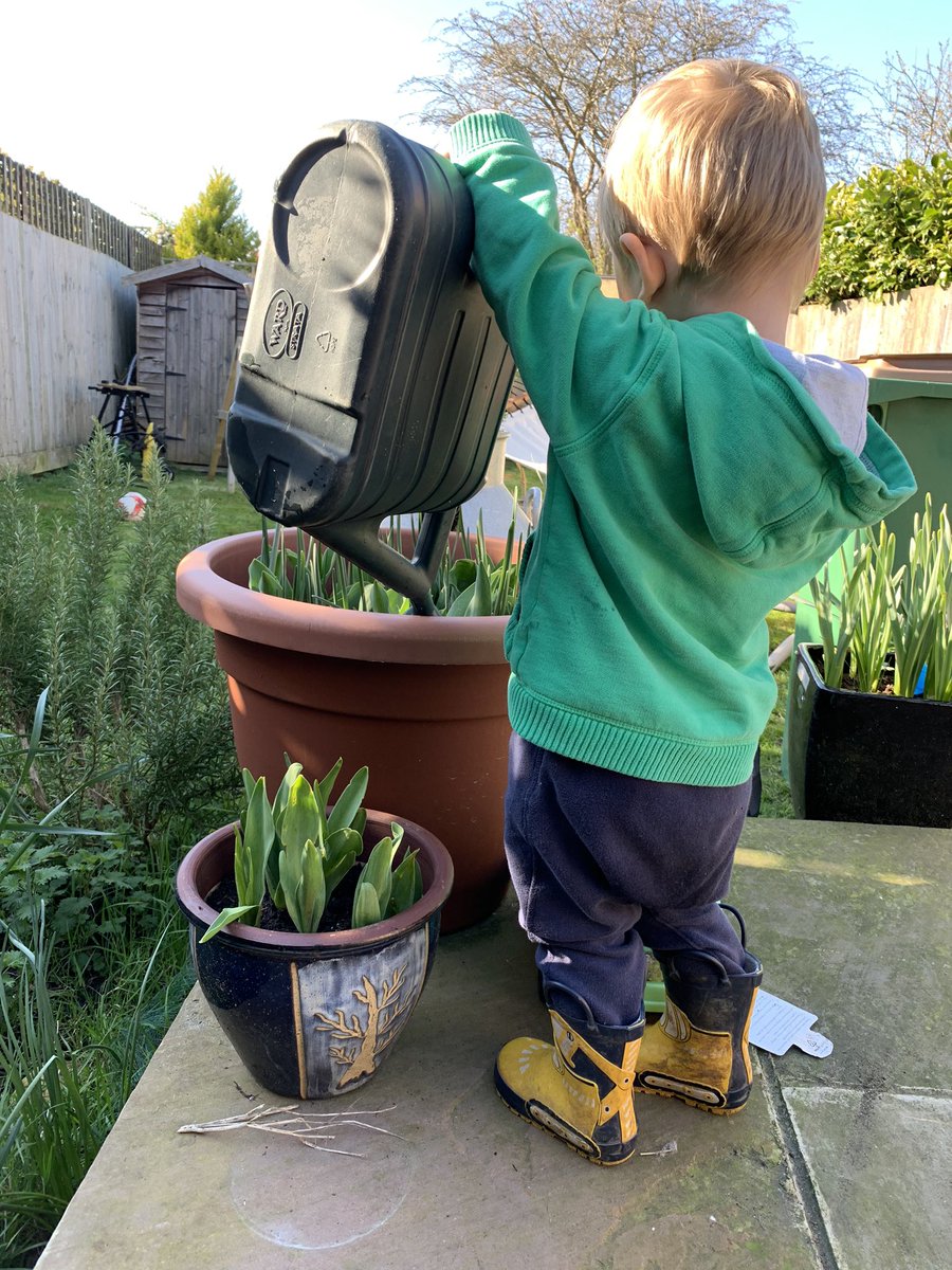 DansPlot's tweet image. The sun is shining!! So the best time to sew some seeds... little Monty wanted to sew, so sew we did! #gardenlife