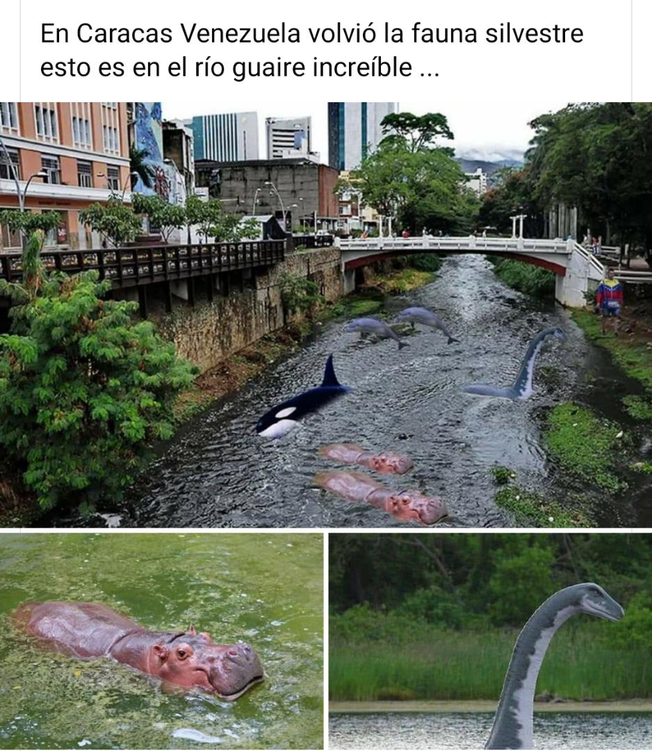 mariusalviar's tweet photo. Dioxx. Lo que uno consigue en las RRSS 😅😅😅 https://t.co/5Pz1r0hUec