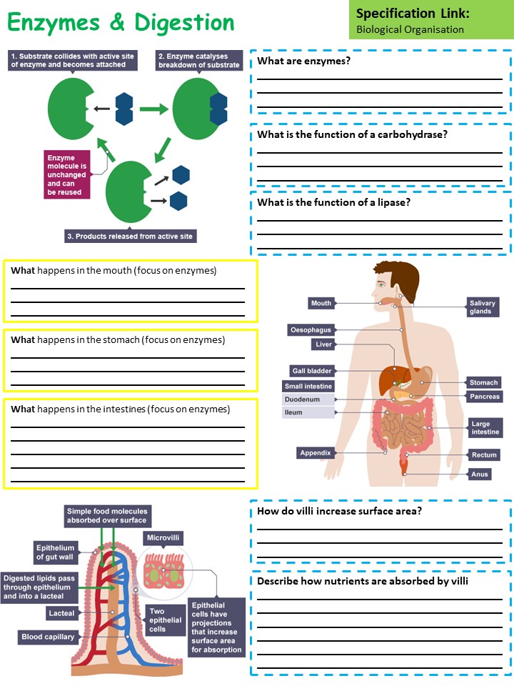 David Chalk tweet media
