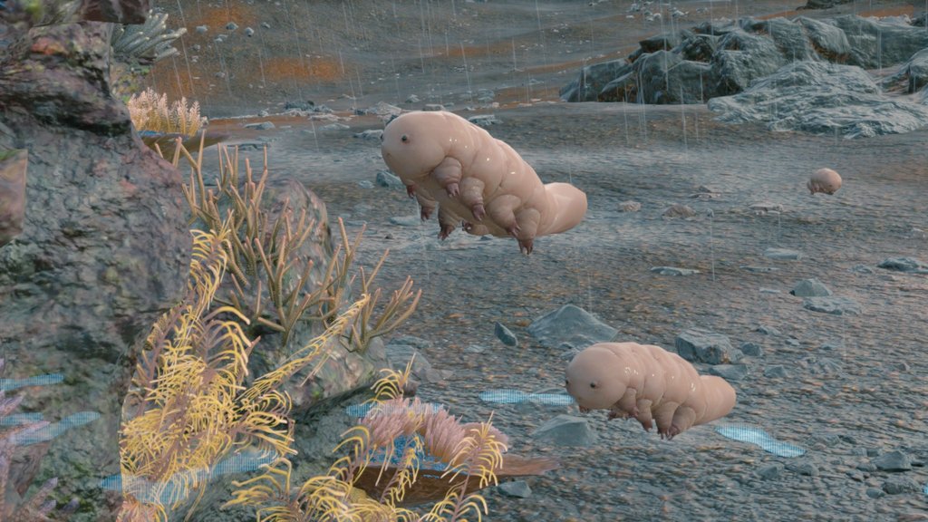 よく見ると可愛い」と言われます #クリプトビオシス です、よろしく