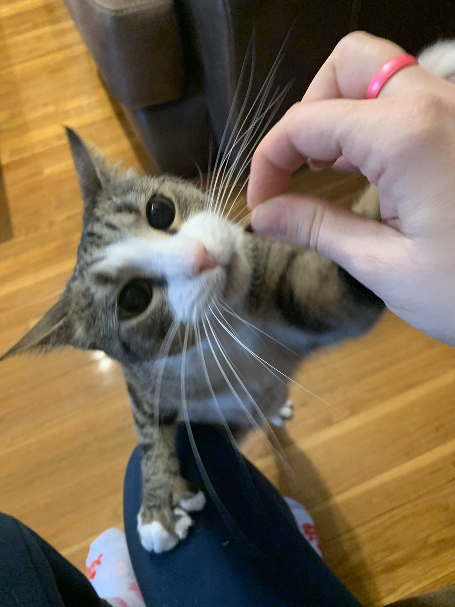 Thinkpinklaw's tweet photo. Love and prayers from Miya in Boston. https://t.co/xbyyDmEneZ