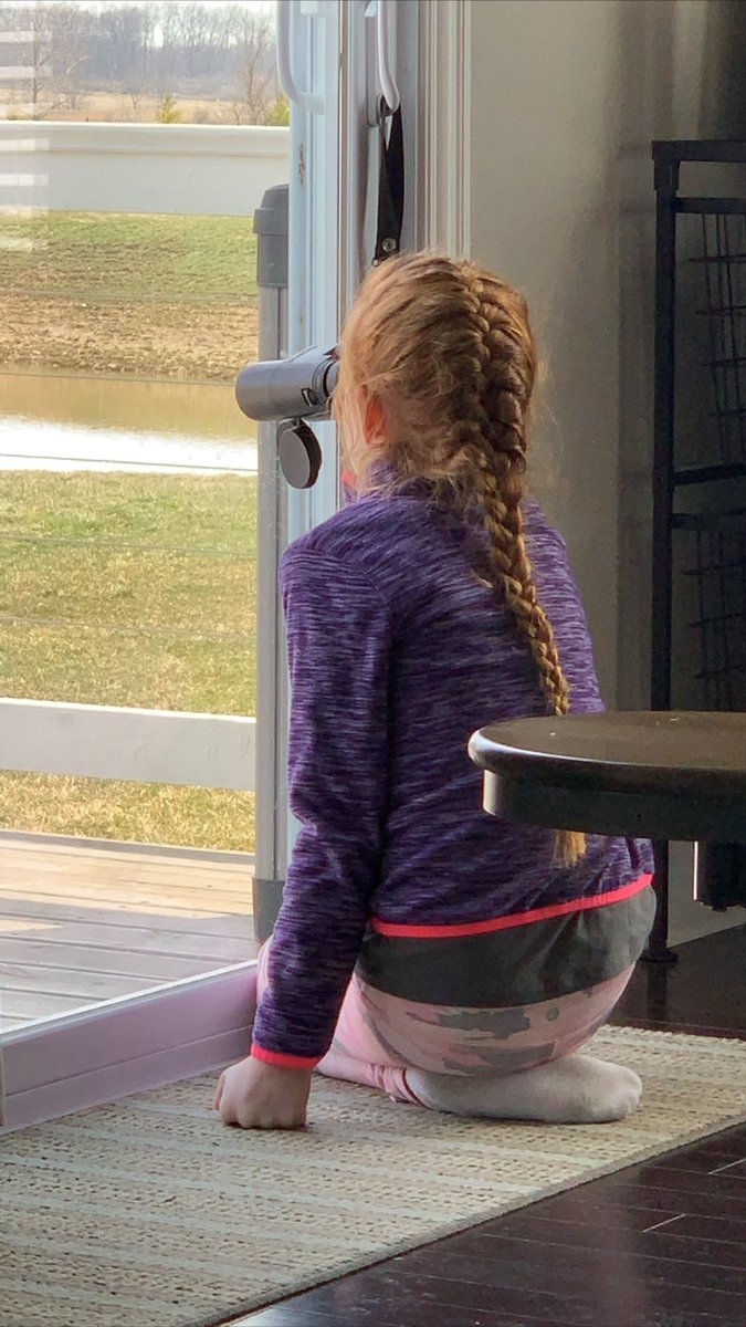 She fills her bird feeder, watches fiercely, tracks data on her subjects, researches online, and makes field notes. I think it’s safe to say she’s learning. Science, math, reading, writing....nothing done in isolation. And, it’s a Sunday. 🤔 #athomelearning #learneragency