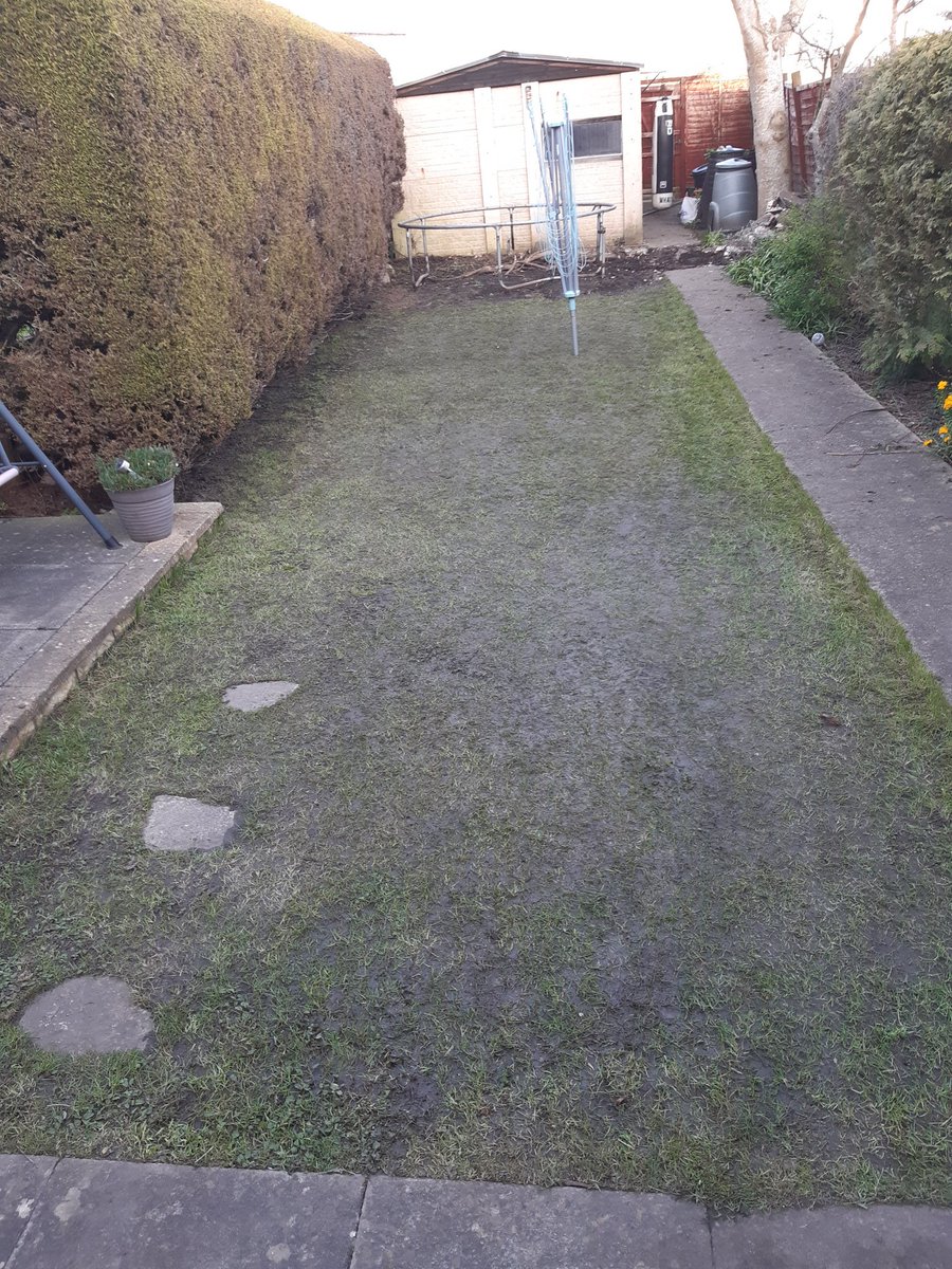 Si_JonesCricket's tweet photo. Double scarified 4 directions with Manual Rake, picked up with Qualcast height 20mm, light roll with Rusty01 Handjob, aeration and seeding to follow with the things in the ground/on the wall
#PutThatInYourPipe @tomcowley17  @Karl_McDermott #Easle #IoGLevel1 https://t.co/6qTMqyRf9s