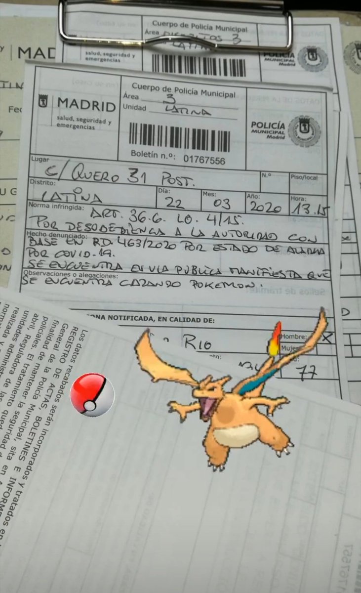 ¿Es que nadie piensa en los pokemon sueltos?
