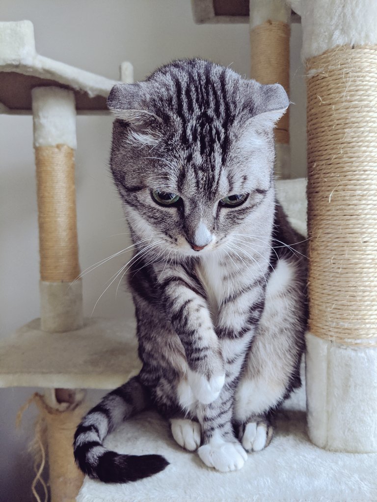 baseball or bust tweet media