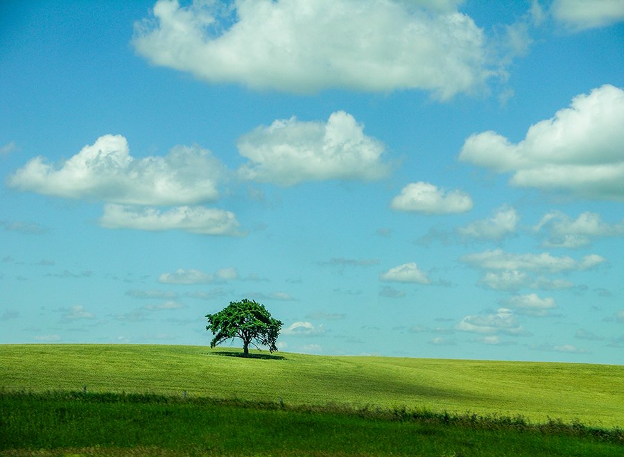 ctisom's tweet image. Enjoy a moment of #Peace during #COVIDー19