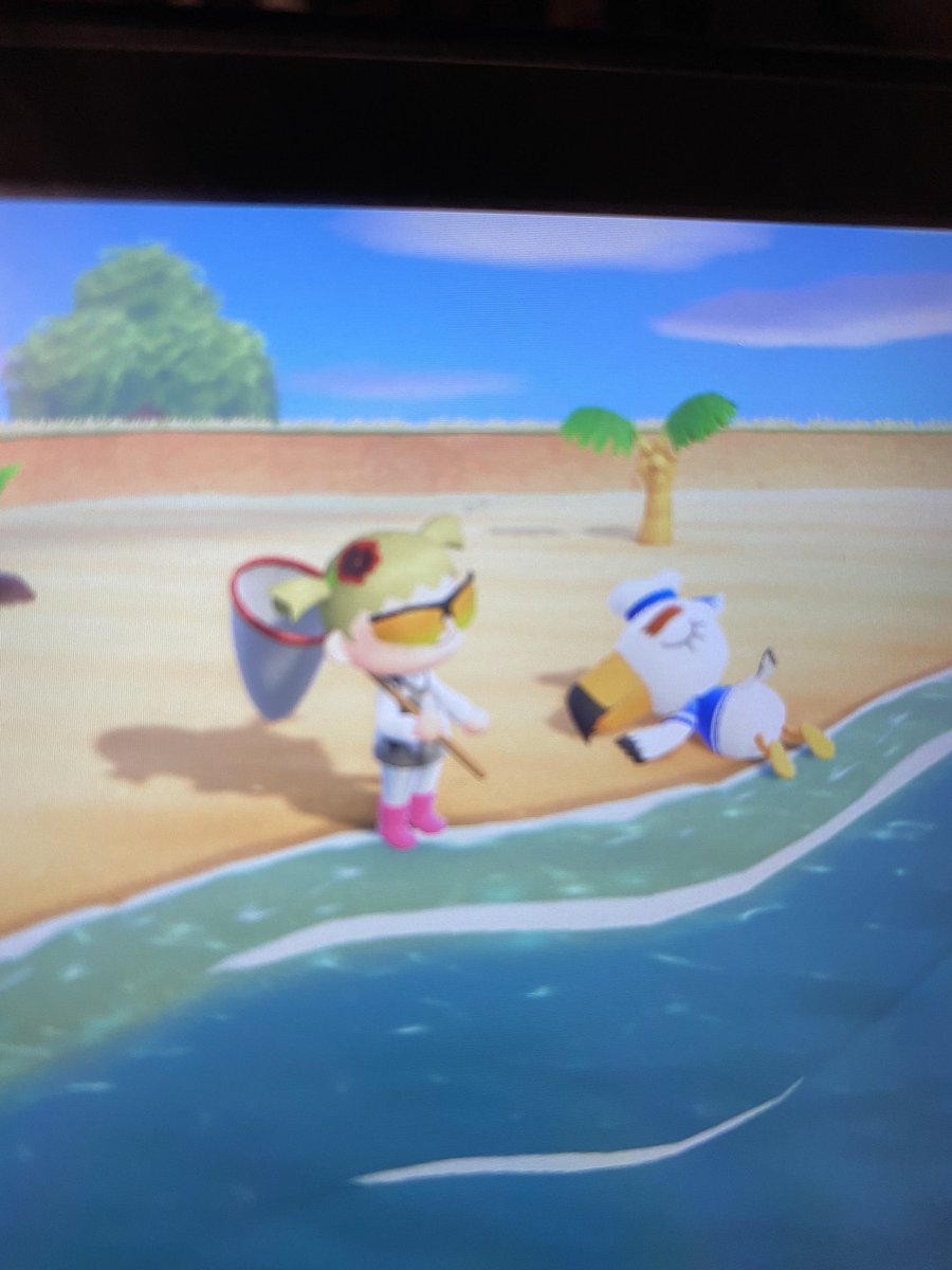 aksually's tweet photo. tom nook has murdered a man who was behind on his mortgage payments and left his body out for everyone to see as a warning! https://t.co/XgebVkPfFW