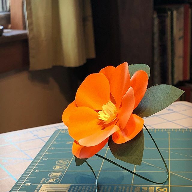 chbamey 🌱 tweet media