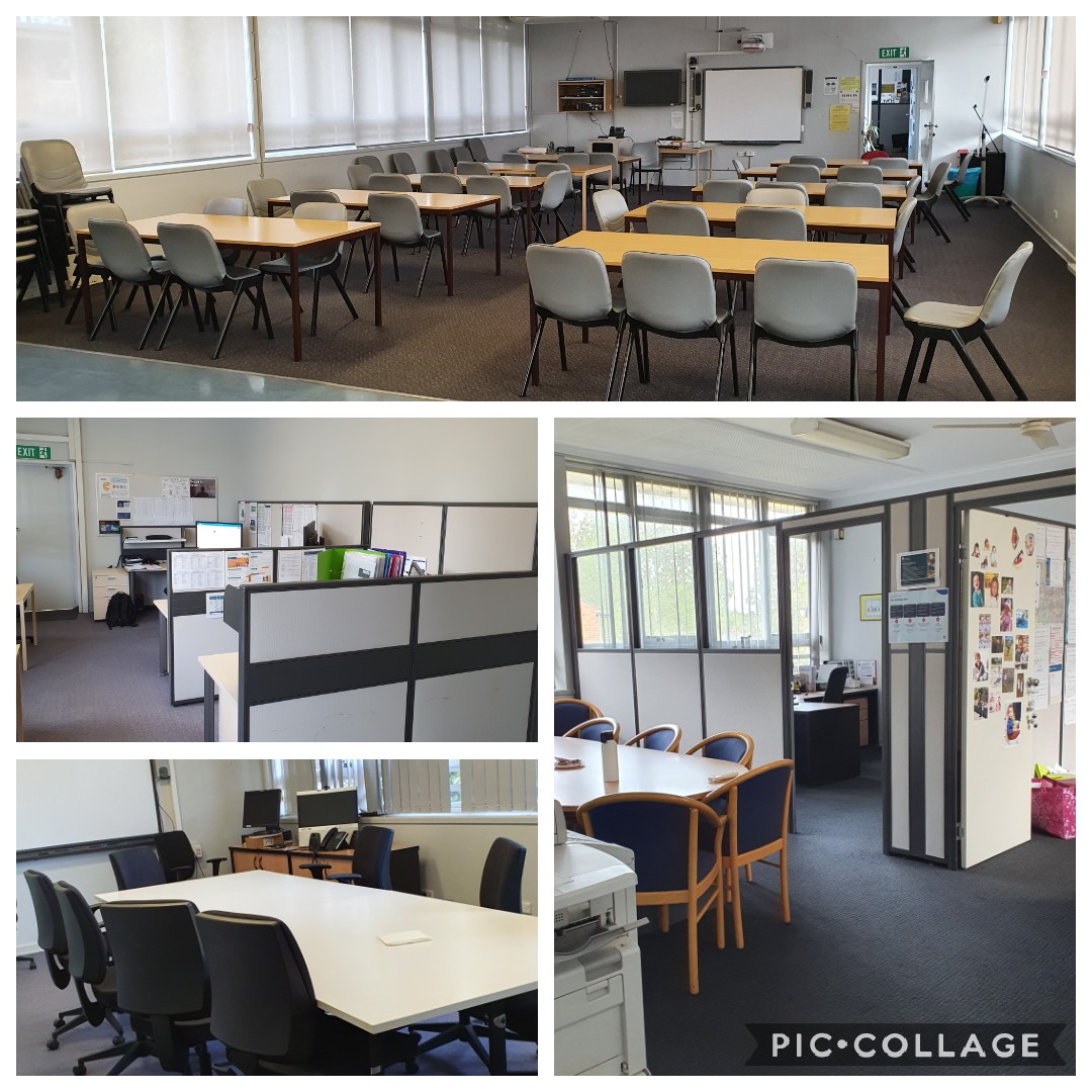 Steven Snell tweet media