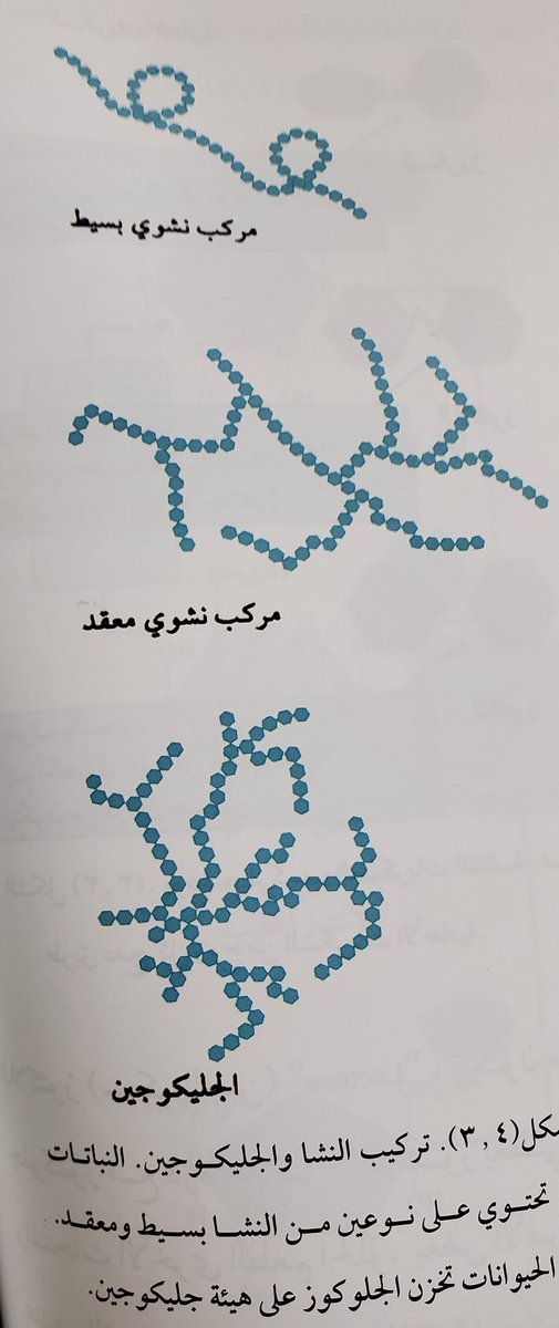 #كتاب تطبيقات عملية ف #التغذية للرياضيين 
تحت هذه التغريده سنقتبس من الكتاب بعض المعلومات الاساسية و...