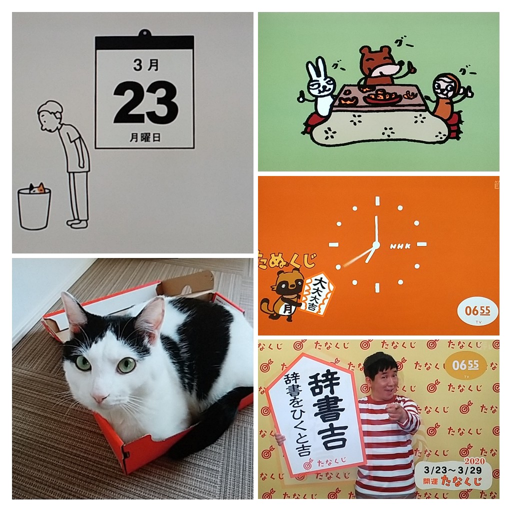 W Club Ar 日めくり ミケのかくれんぼ おれ ねこ ボンボンさん 東京都八王子市在住 みかんをむくのはどっちから 柴田聡子 ナレ ちなみにわたくし稲塚はおしりから剥く派です たなくじ 辞書吉 辞書をひくと吉 たぬくじ 大大大吉 W Club Ar 日めくり ミケのかくれんぼ おれ ねこ ボンボンさん 東京都八王子市在住 みかんをむくのはどっちから 柴田聡子 ナレ ちなみにわたくし稲塚はおしりから剥く派です たなくじ 辞書吉 辞書をひくと吉 たぬくじ 大大大吉