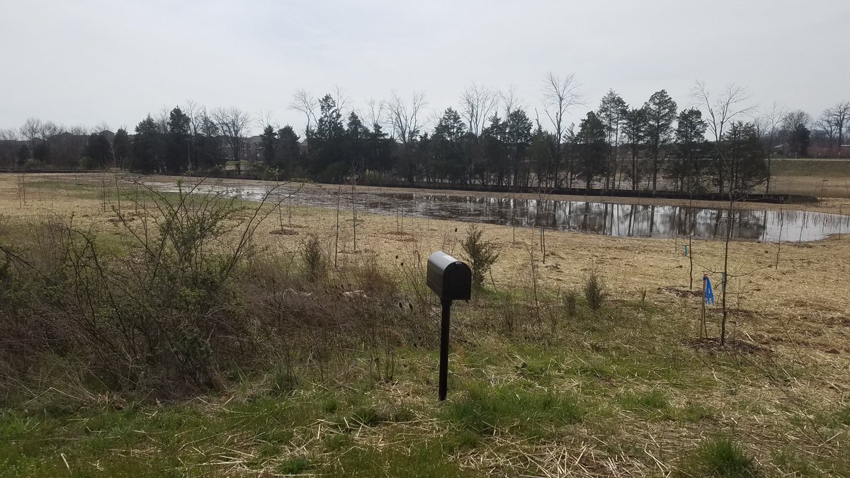 TracyBailey's tweet photo. For all of my family @BAM_MS_Official, this mailbox is practicing social distancing like a boss. Be the mailbox. #BAMyr3 #climbtogether https://t.co/ZbF4sfjItA