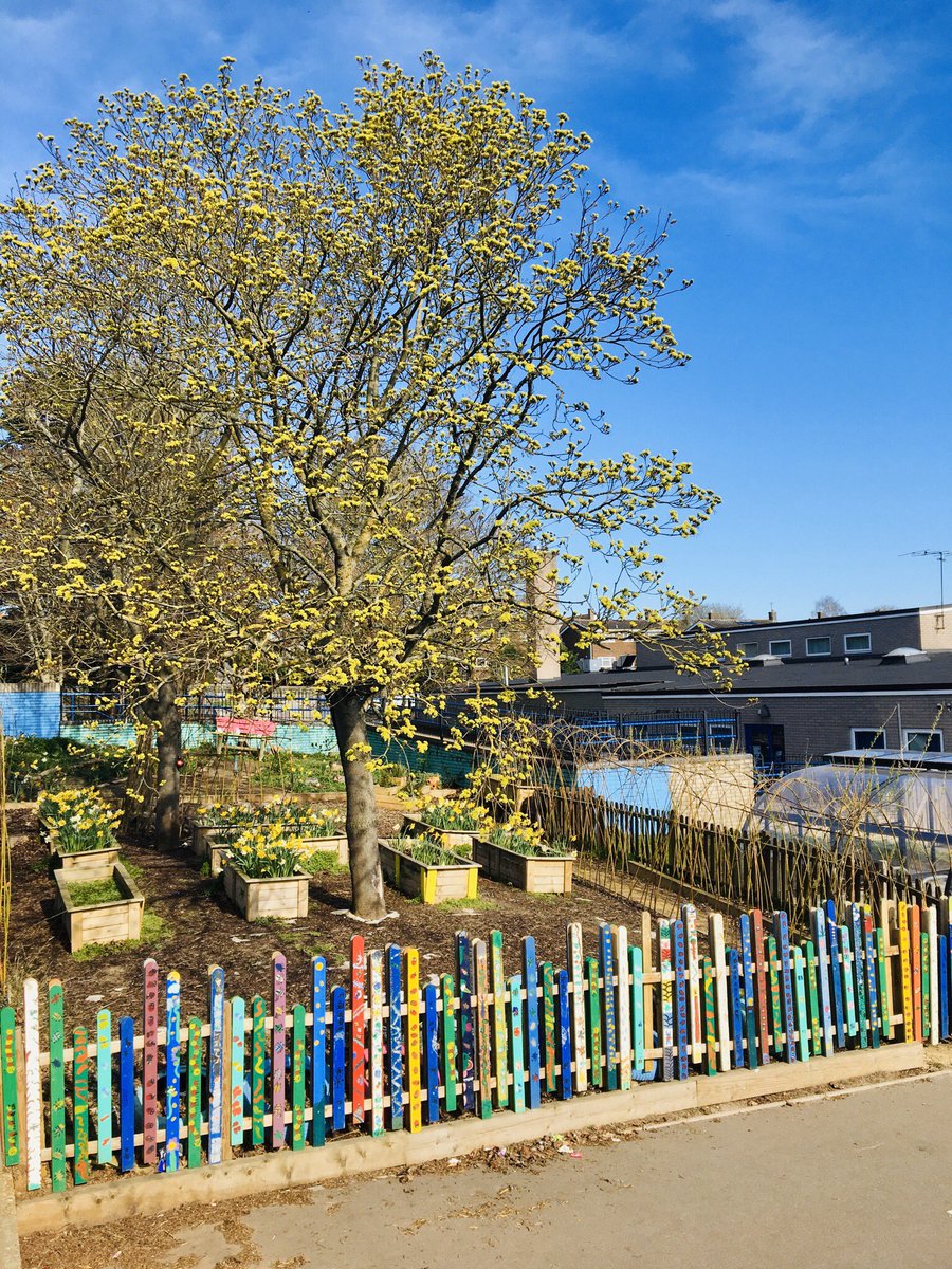 Schools may have closed but Edith Cavell’s garden is blooming in Spring! 🌈 #hope