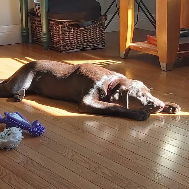 Finding the sunshine!! ift.tt/2QC1OQW