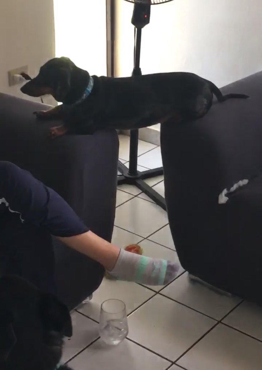 Content from evytaylor88