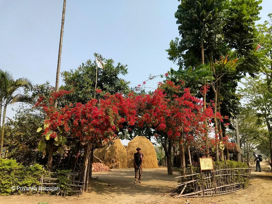 Amid the madness, let's not forget: spring has sprung.Reminiscing a pretty scene from Dallegaon, Bihar, on the  @outofedenwalk with journalist  @PaulSalopek last year. #EdenWalk