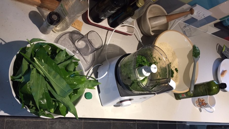 Organic, natural, healthy social distancing aid #wildgarlicpesto